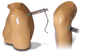 Specialized Models with Sensor Technology