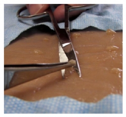 Synthetic Skin Model - procedure